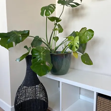 Gasthuis Weltevreden Noordwijk