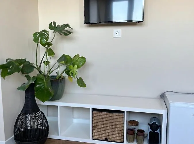 Pensjonat Weltevreden Noordwijk